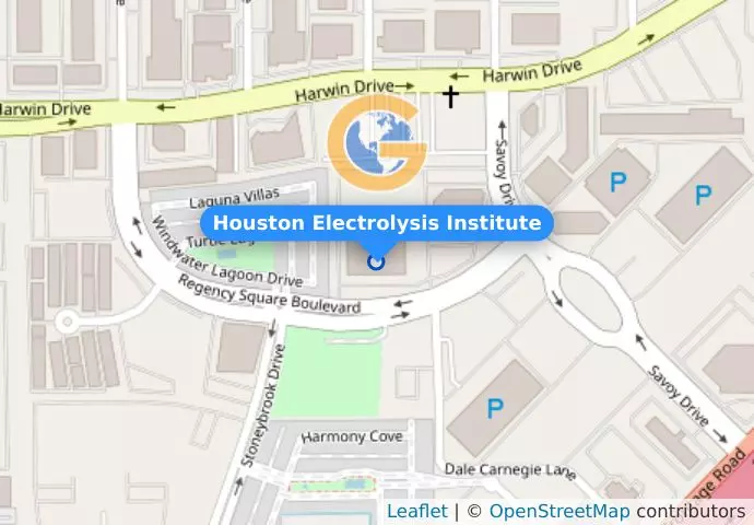 Houston Electrolysis Institute